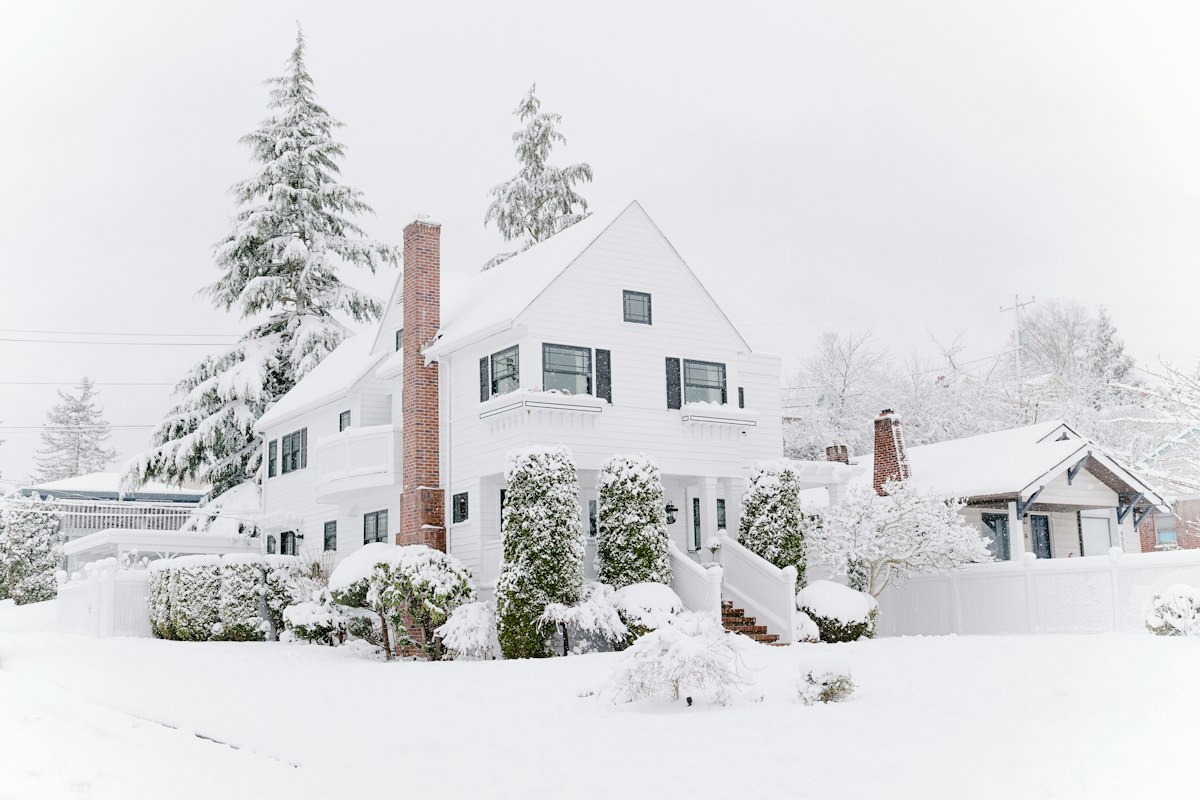 House and trees covered in snow