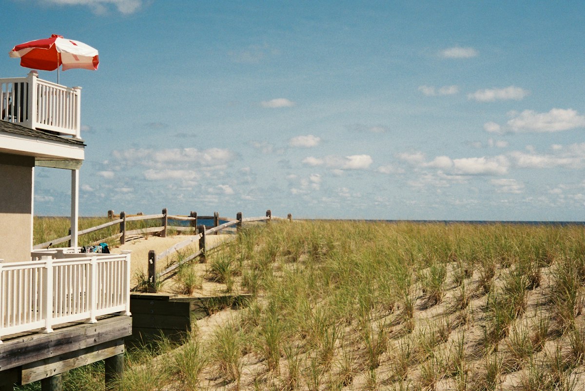 Lifeguard stand among the dunes
