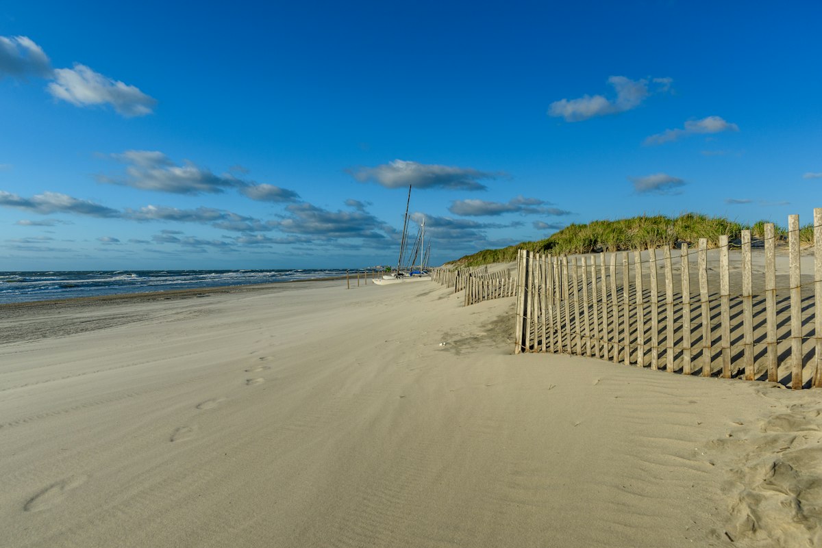 Wooden dune fence on the beach
